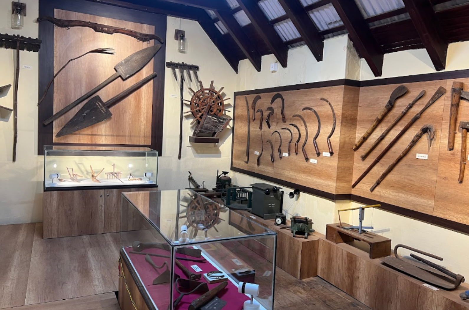 Government Museum Pravin Travels